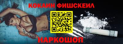 крисы Моздок