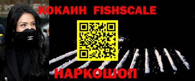 крисы Моздок