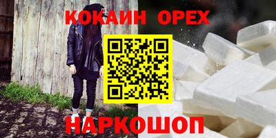 крисы Моздок