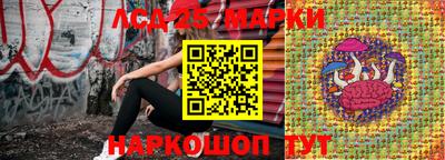 крисы Моздок