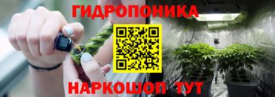 спиды Можга
