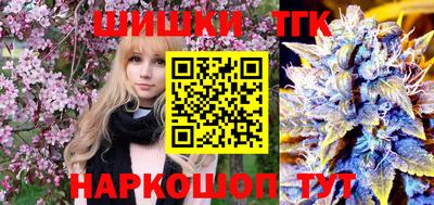 крисы Моздок