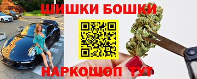крисы Моздок