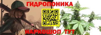 крисы Моздок