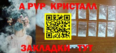 крисы Моздок
