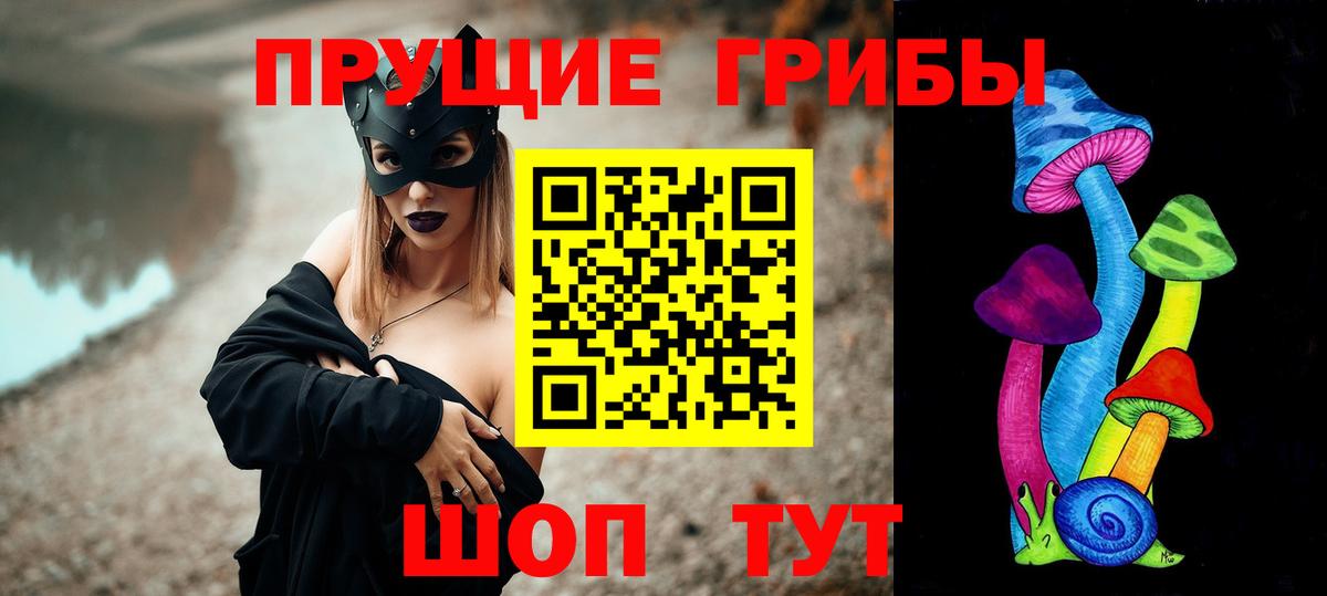 Галлюциногенные грибы Psilocybine cubensis Чапаевск
