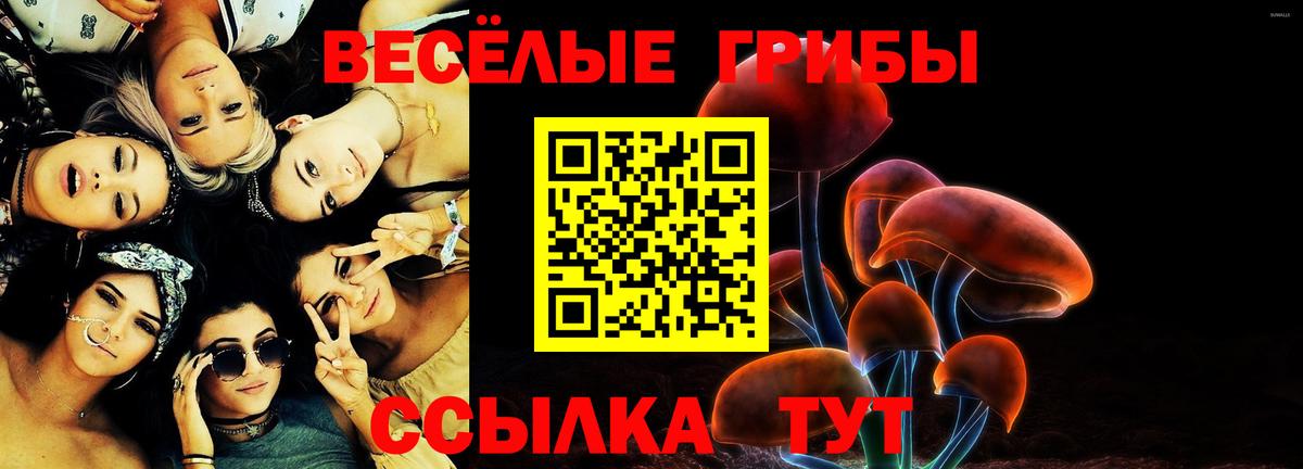 Чапаевск  Псилоцибиновые грибы прущие грибы  Галлюциногенные грибы мухоморы  Вход с VPN 